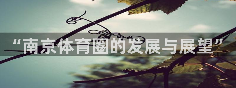 必发官网下载招商电话：“南京体育圈的发展与展望”