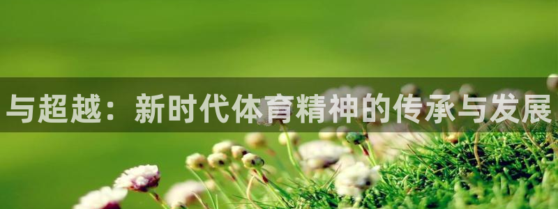 必发官网下载平台：与超越：新时代体育精神的传承与发展