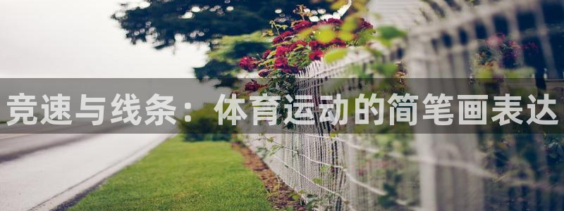 必发官网下载招商电话地址查询：竞速与线条：体育运动的
