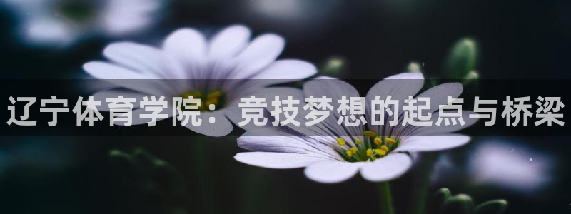 德国必发官方正版app集团：辽宁体育学院：竞技梦想的