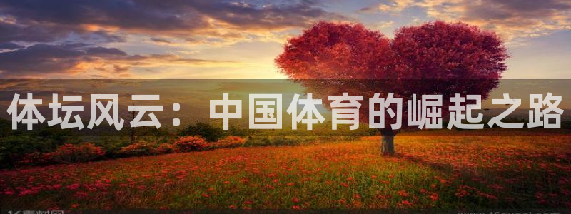 必发官网下载联系电话：体坛风云：中国体育的崛起之路