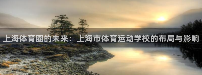 必发官方正版app娱乐网站：上海体育圈的未来：上海市