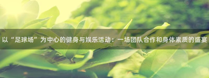 必发官方正版app代理：以“足球场”为中心的健身与娱