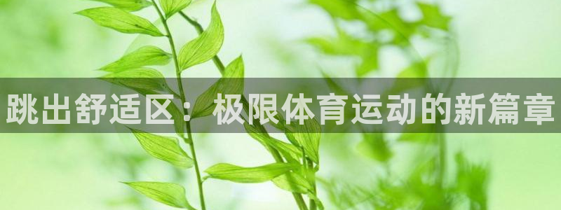 必发官网下载平台注册流程图：跳出舒适区：极限体育运动