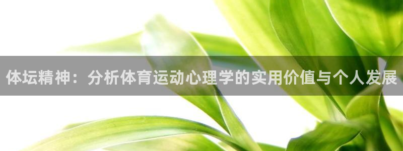 必发官方正版app娱乐首页官网下载：体坛精神：分析体