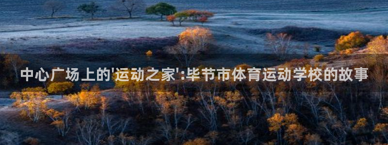 必发官方正版app娱乐首页官网下载：中心广场上的\'