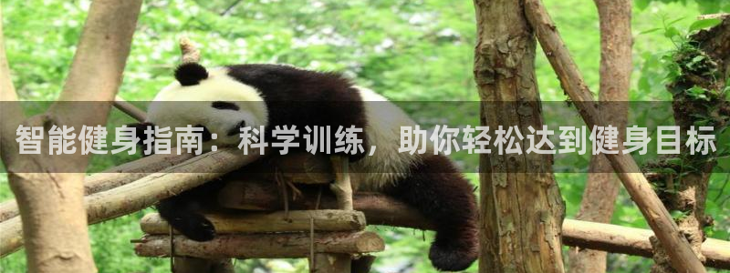 必发官网下载联系电话：智能健身指南：科学训练，助你轻