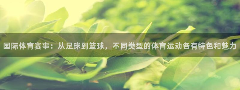 必发官网下载招商电话地址：国际体育赛事：从足球到篮球