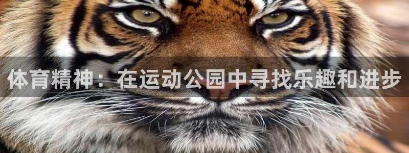 必发官方正版app娱乐代理怎么样：体育精神：在运动公