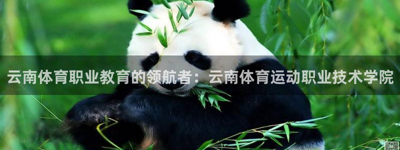 必发官网下载平台假的吗是真的吗吗：云南体育职业教育的