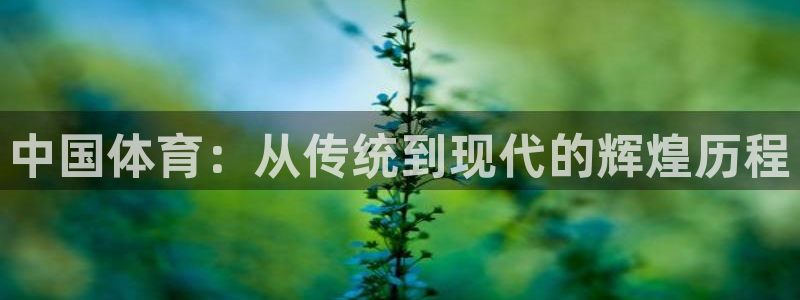必发官网下载招商电话是多少号码：中国体育：从传统到现