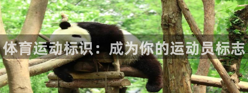 必发官网下载开户：体育运动标识：成为你的运动员标志