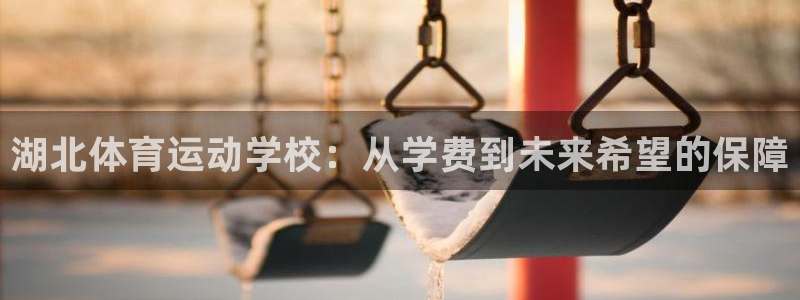 必发官方正版app神州