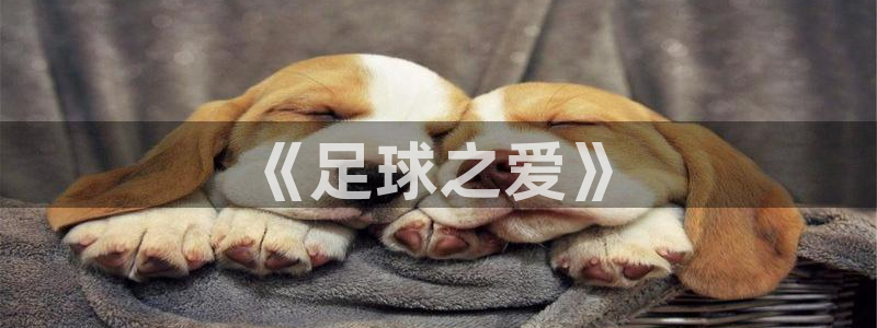 必发官方正版app娱乐是那个系列的台子：《足球之爱》