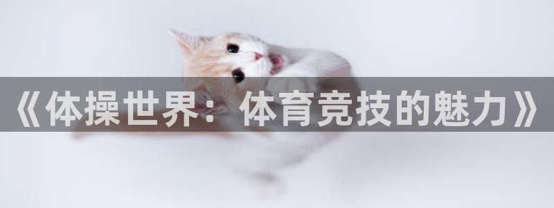 必发官网下载平台：《体操世界：体育竞技的魅力》