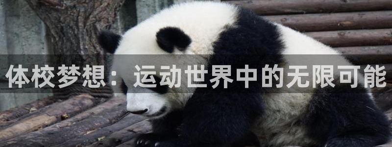 必发官方正版app娱乐网站