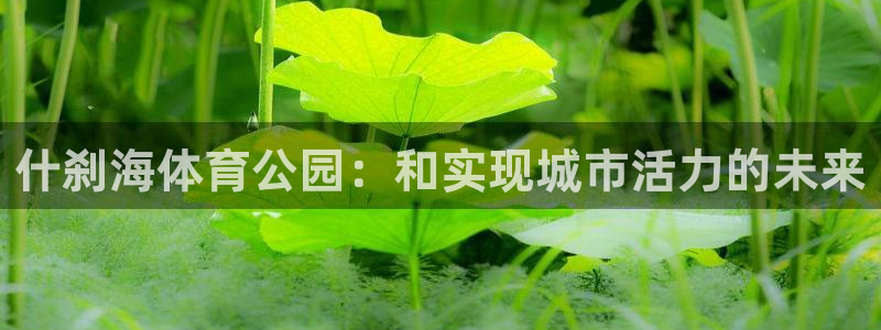 必发官网下载开户：什刹海体育公园：和实现城市活力的未来