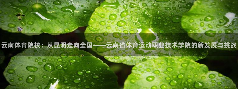 必发官网下载招商电话号码是多少号：云南体育院校：从昆明走向全