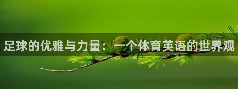 必发官方正版app娱乐网站：足球的优雅与力量：一个体育英语的