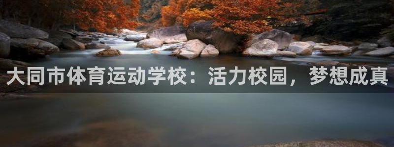 必发官方正版app娱乐代理怎么样：大同市体育运动学校：活力校