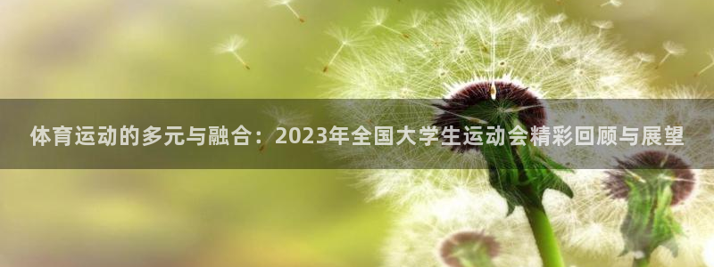 必发官网下载平台注册要钱吗安全吗：体育运动的多元与融合：20