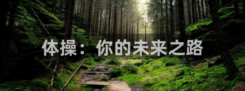 海南必发官网下载