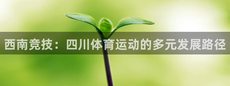必发官方正版app娱乐：西南竞技：四川体育运动的多元发展路径