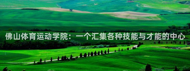 必发官网下载平台假的吗是真的吗吗：佛山体育运动学院：一个汇集